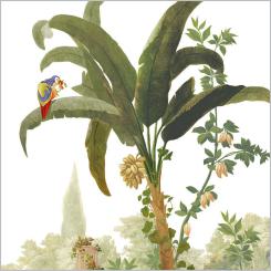 20 Servietten, Serviettentechnik Schönbrunn Parrot Papagei,  33x33 PPD 