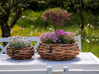 A2 Living Rattan Korb Pflanzschale Übertopf, 2 Größen 