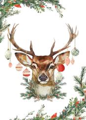 Geschirrtuch Baumwoll Küchentuch Digitaldruck "WEIHNACHTSHIRSCH"  , Fa. Kracht 