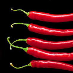 20 Servietten A la Carte Chili 33x33,Braun & Company 