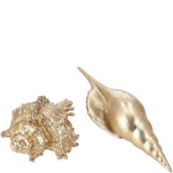 2-er Set  Muschel Ignaz gold, maritim Nord Stil 