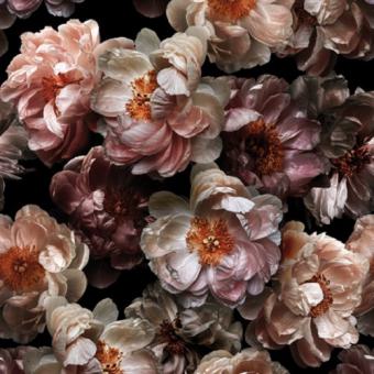 20 Servietten Victorian Wild Roses 33x33, tiflair 
