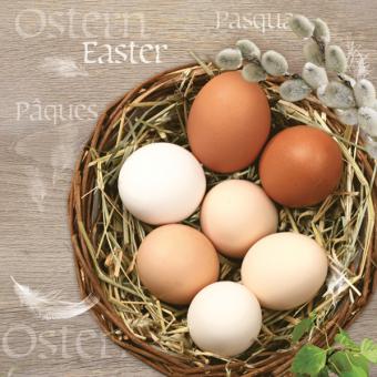 20 Servietten Eggs in a Basket Ostern 33x33, PPD 